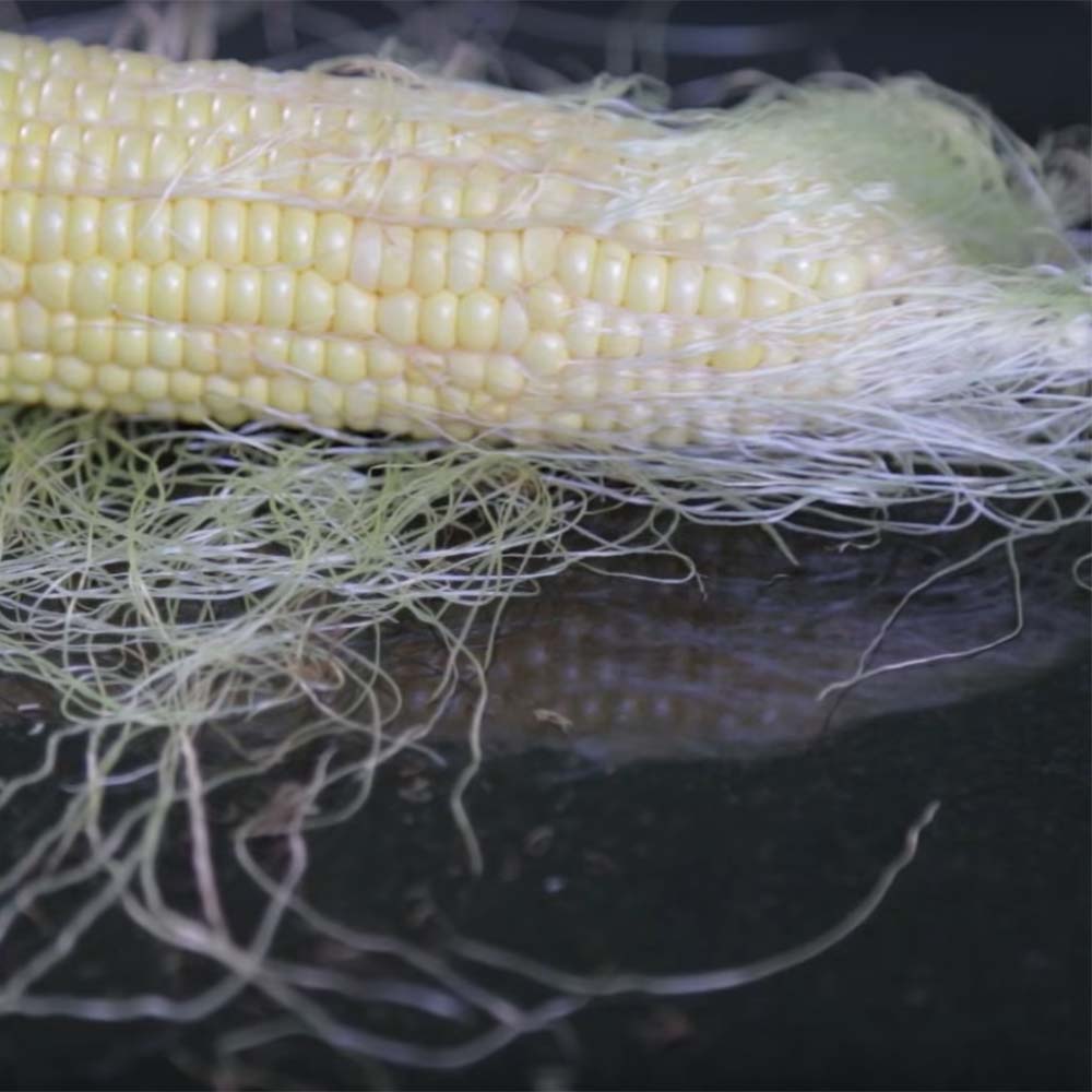 Corn Silk Fooducate