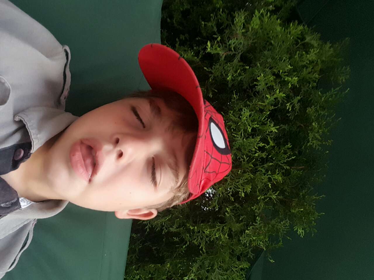 Sensible Portions Garden Veggie Straws Honey Mustard Calories