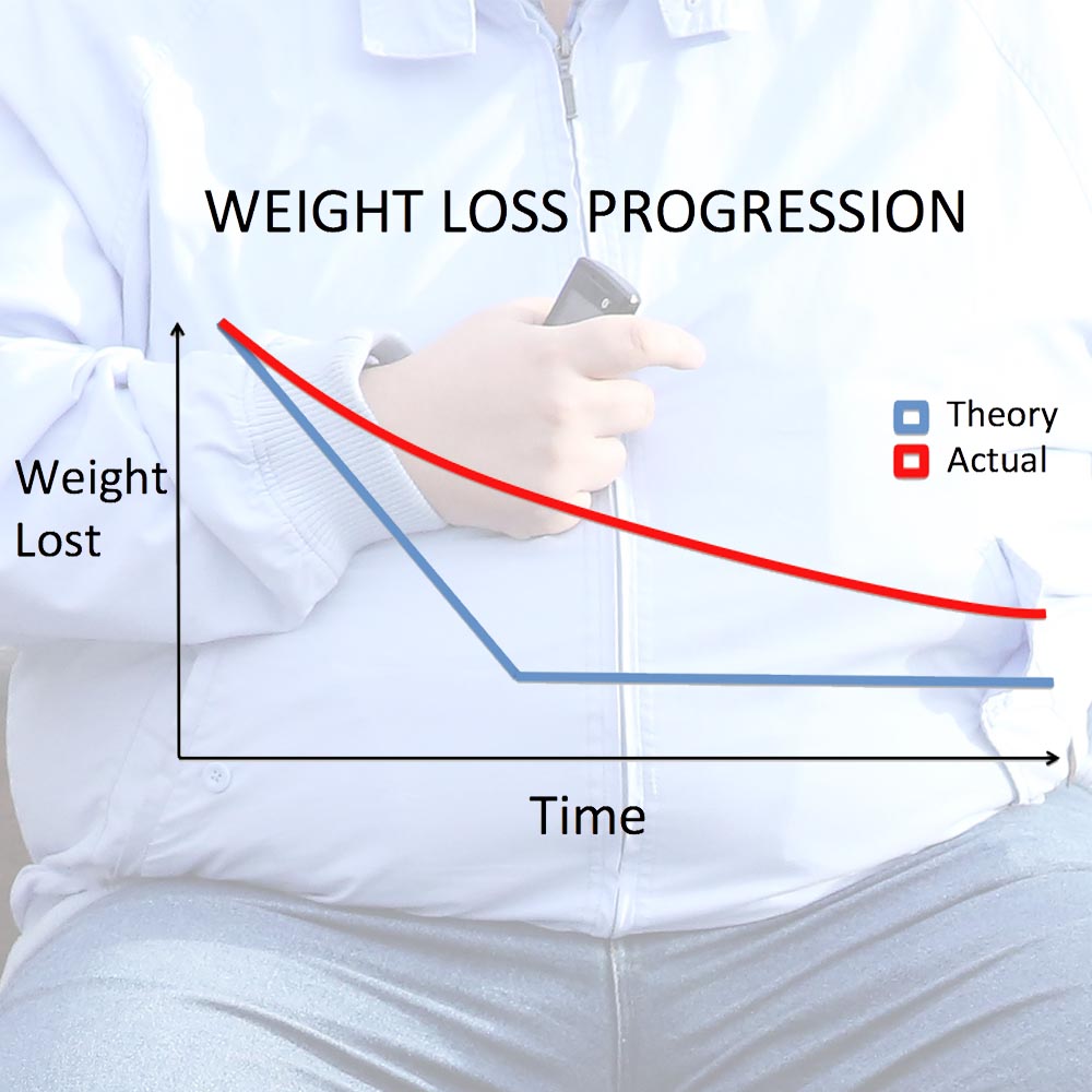 Weight Loss Progression Theory vs. Reality Fooducate