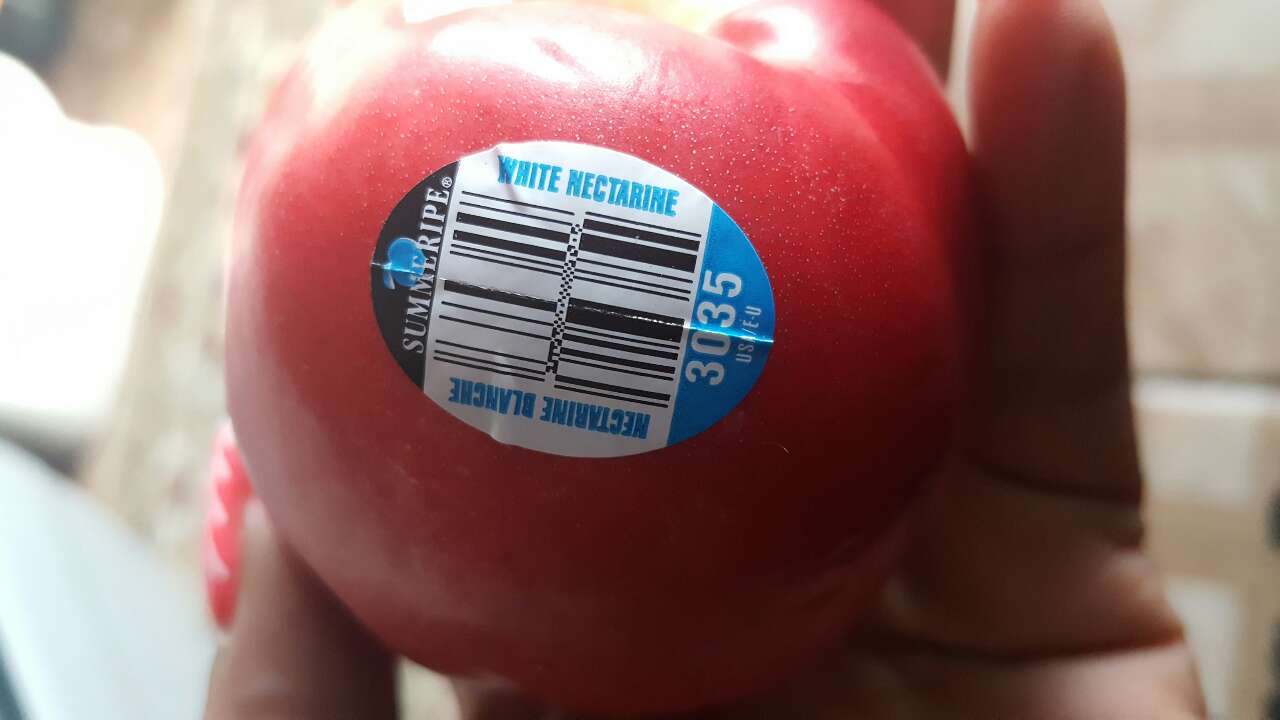 Nectarine, White, ReadyToEat, Large Calories, Nutrition Analysis