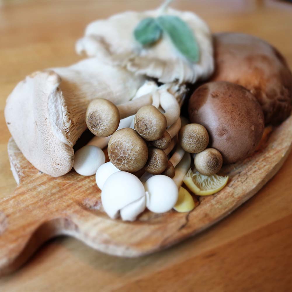 Mushrooms are Not a Meat Alternative Fooducate