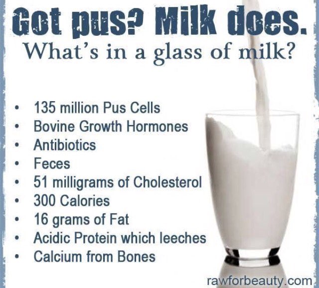 Dairy Pride, or What is the Definition of Milk? Fooducate