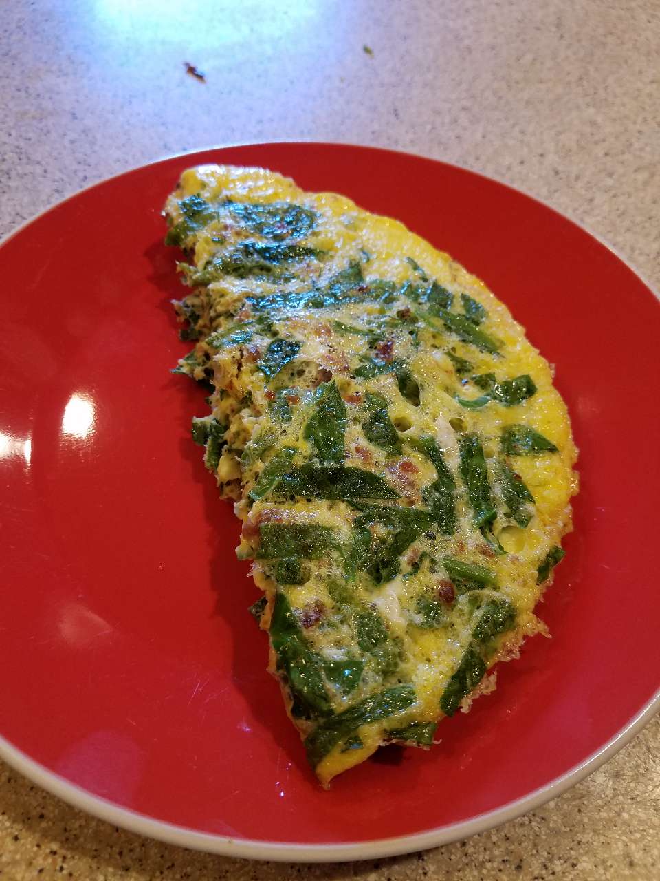 Ahhh....my favorite breakfast. omelette with real hormel bacon bits