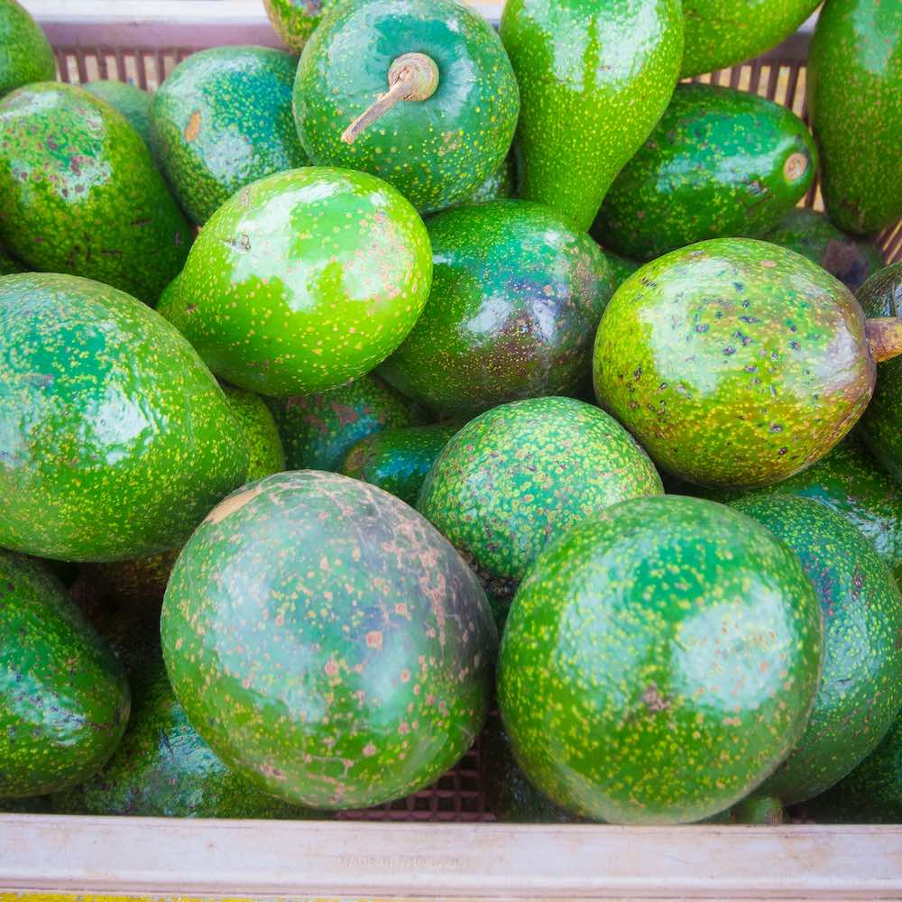 The Dark Side of Avocado Fooducate