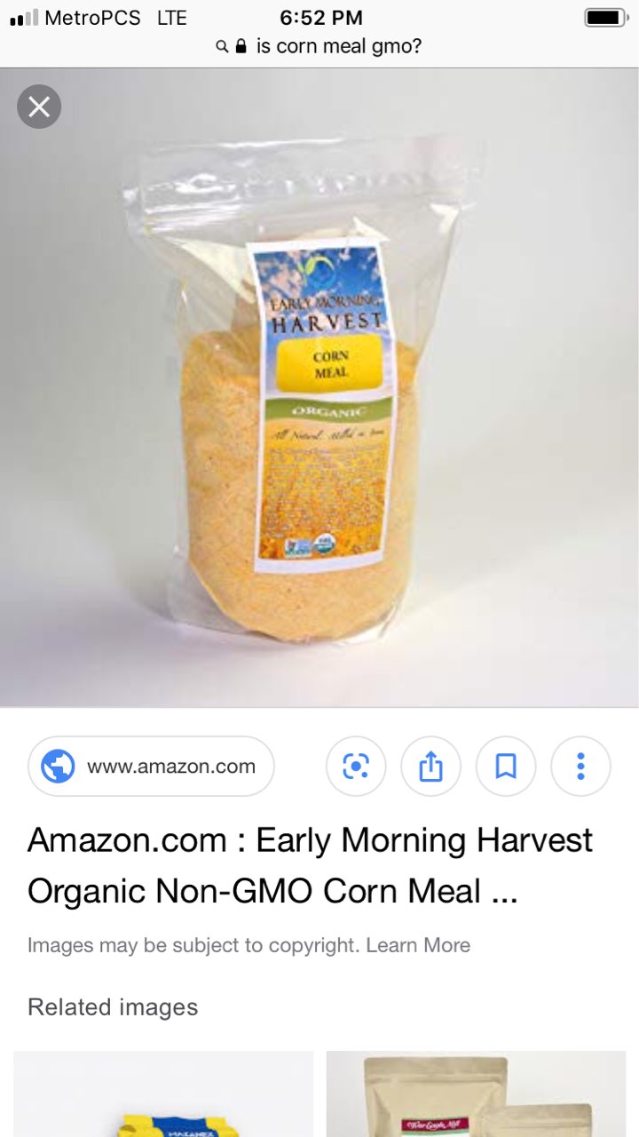 Is corn meal/maize healthy for you ?and does it contain gmo