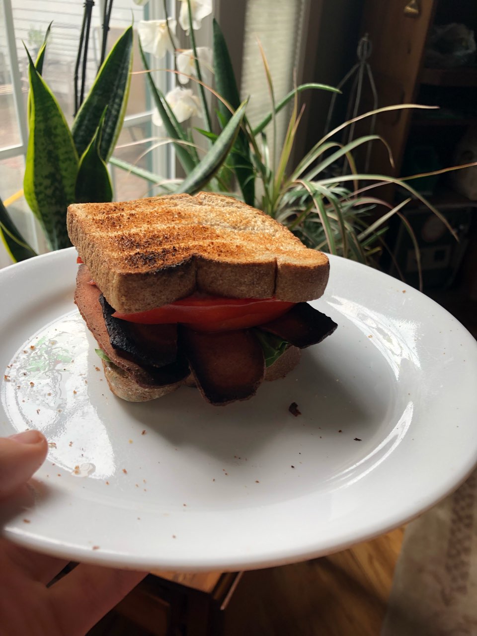 Lightlife Veggie Protein Strips, Bacon Style Calories