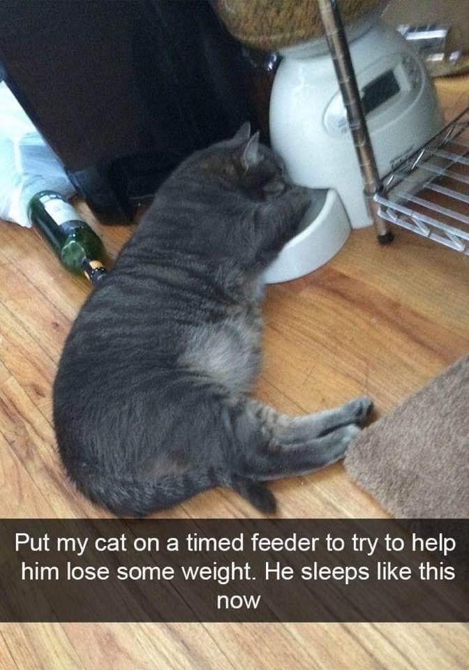 This Would Be Jack Fooducate Diet Motivation