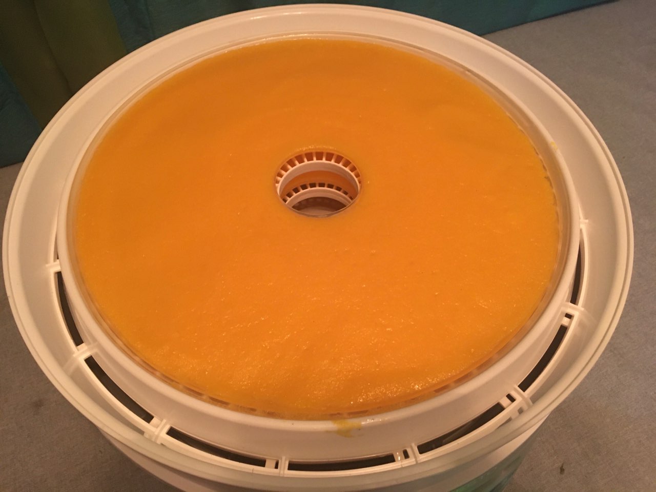 Fruit roll ups from Santa’s dehydrator Fooducate Diet Motivation