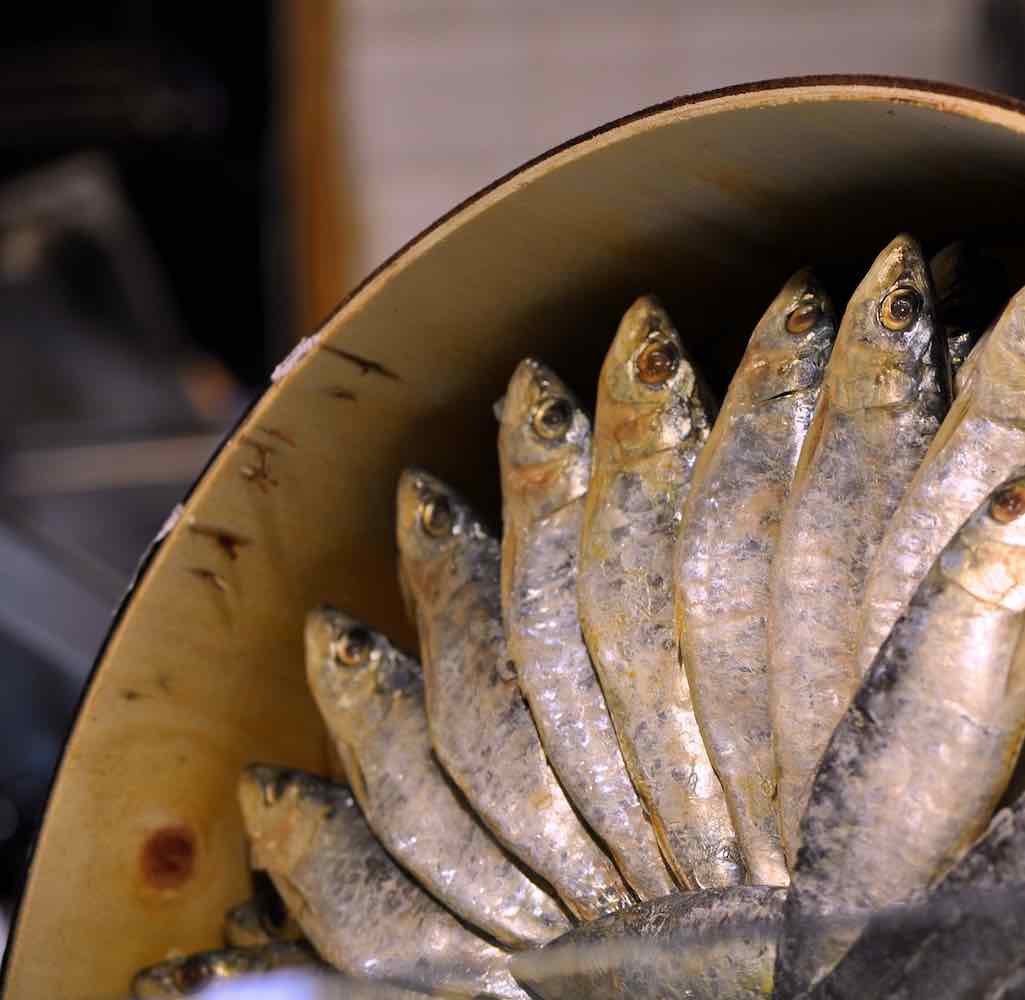 Sardines Protect Against Diabetes and Heart Disease Fooducate