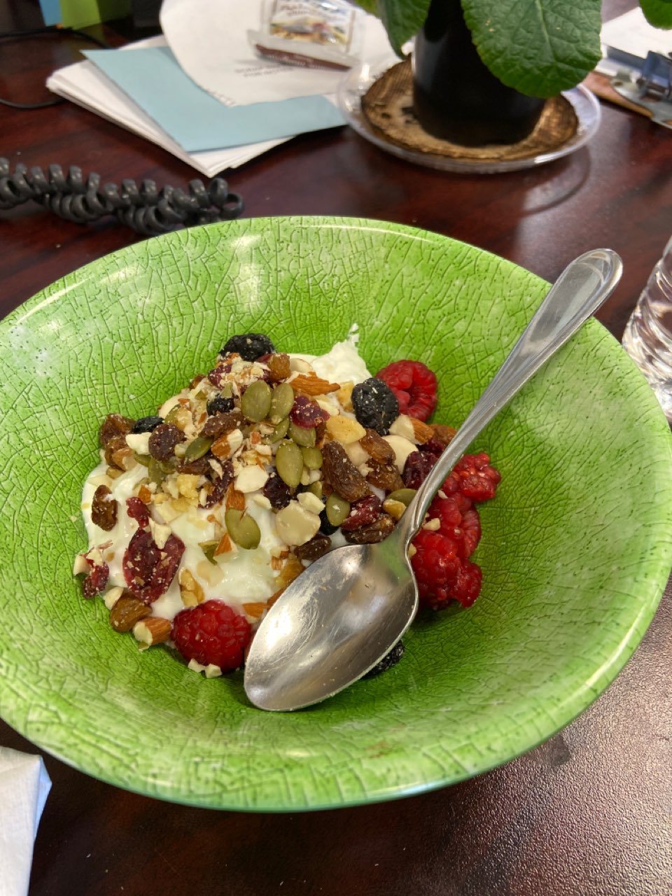 And …. A lil dessert Nonfat plain Greek yogurt trail mix and