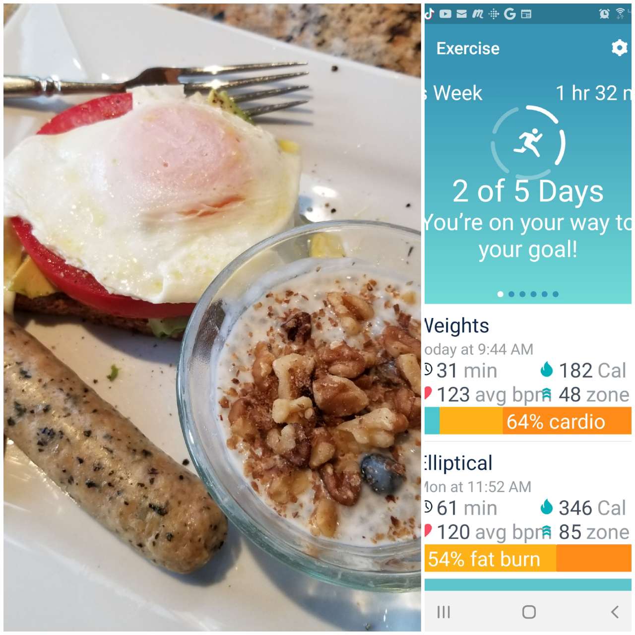 1840 hr fast protein shake. Meal one Sprouted lowcarb wheat berry