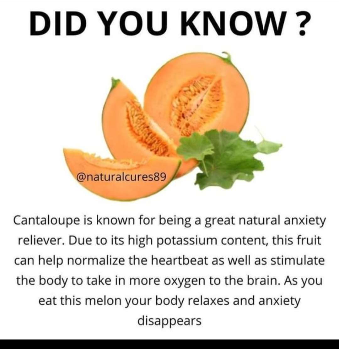 Melon juice with pulp. I used monk fruit mainly for the sweetener but i