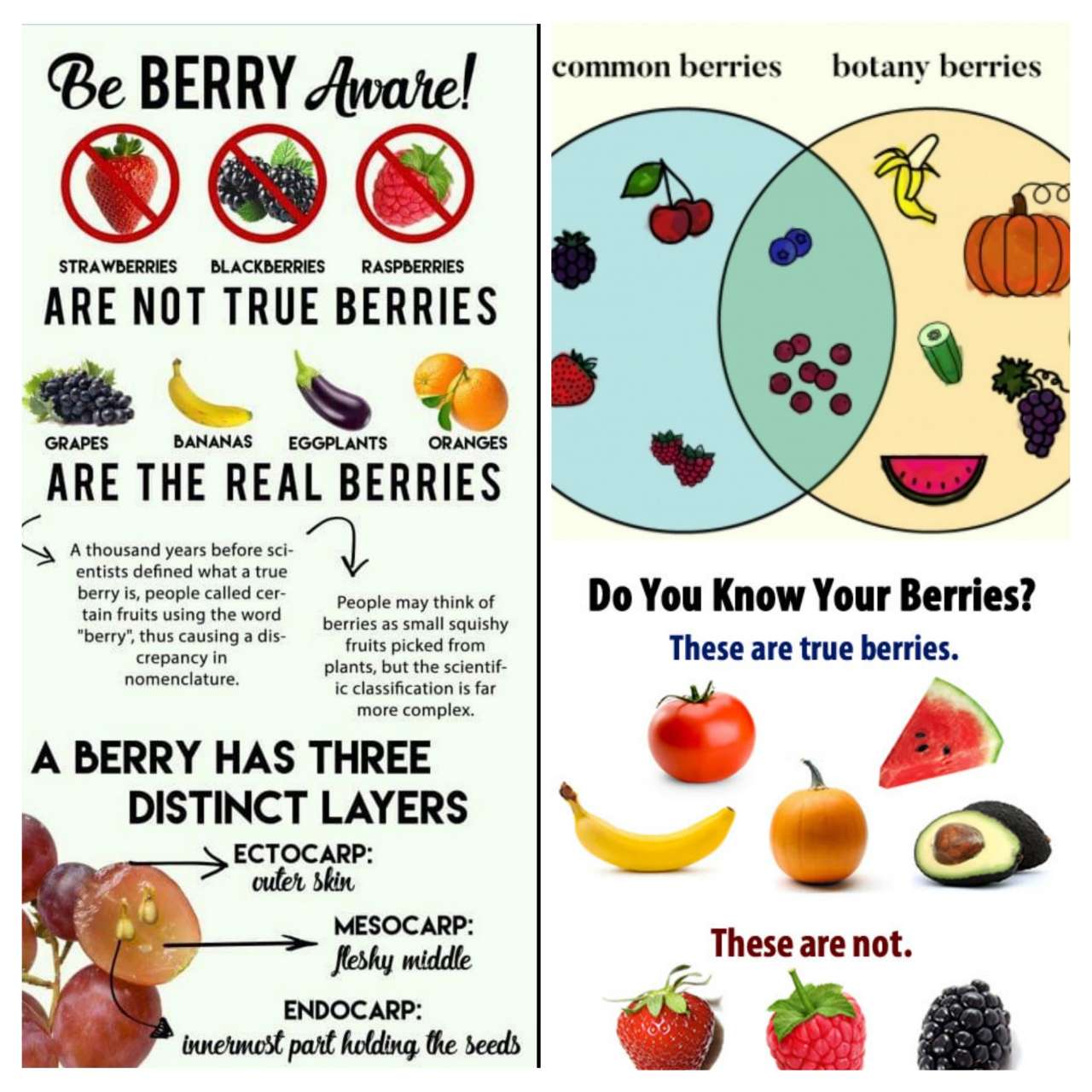 I really did not know this ! Fooducate Diet Motivation