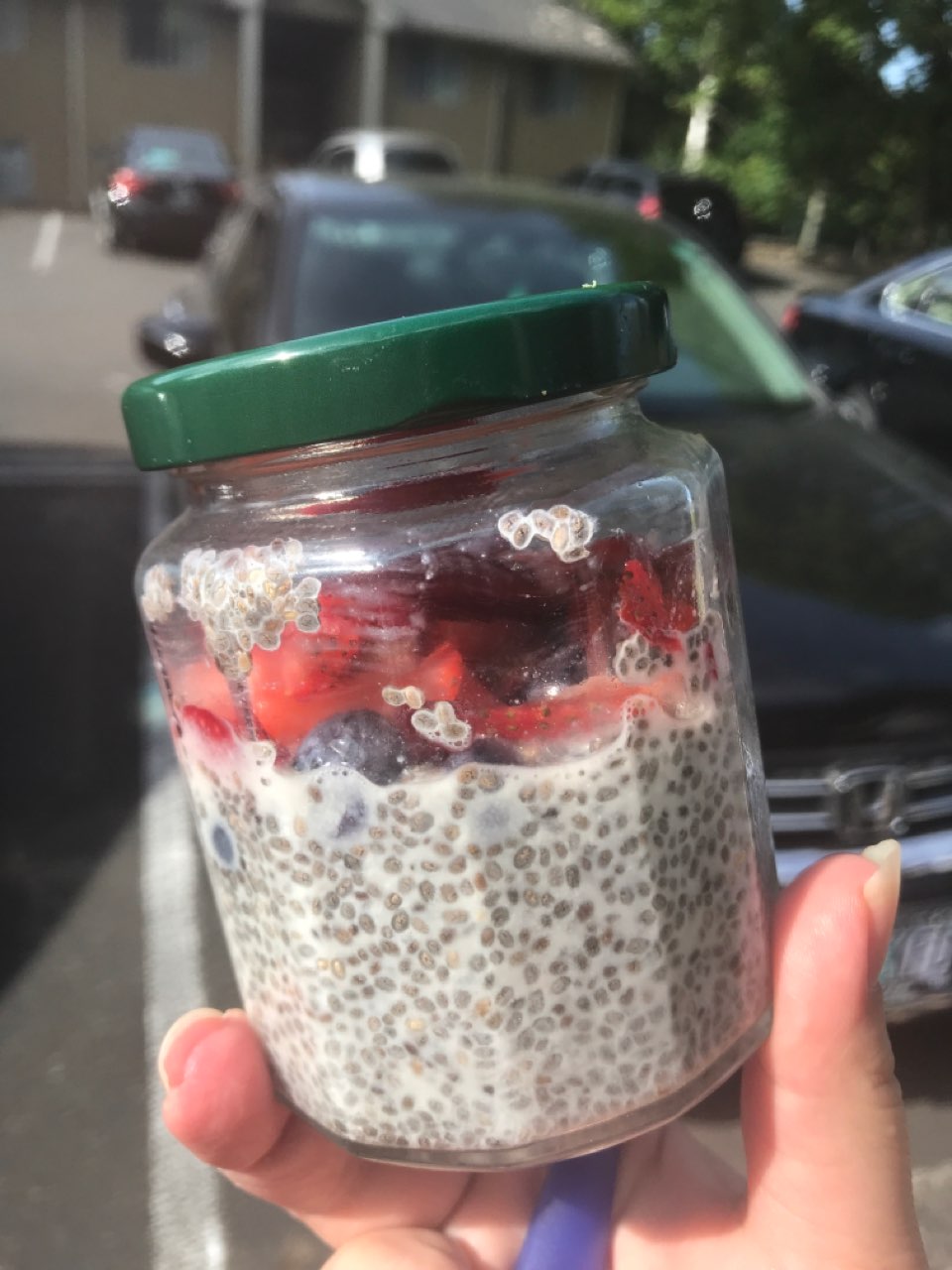 Chia pudding Directions, calories, nutrition & more Fooducate