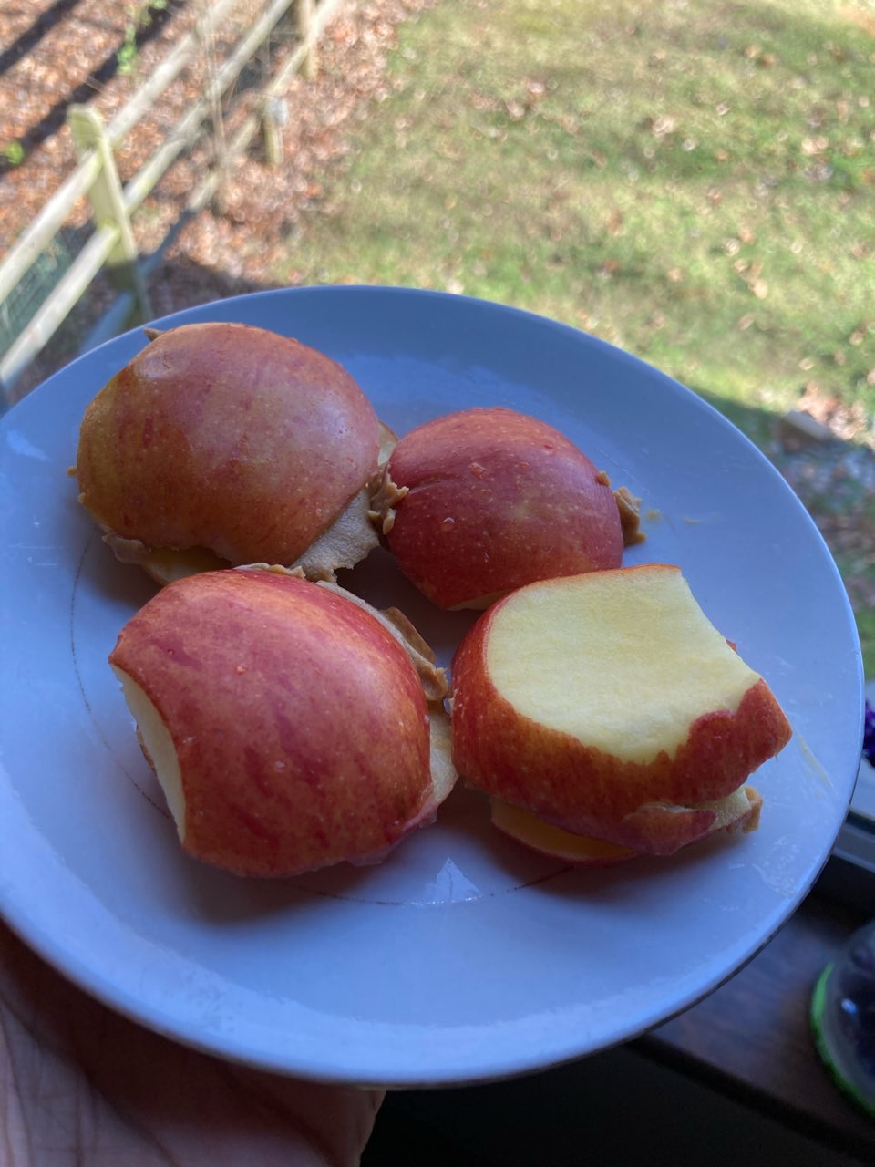 Apple and Peanut Butter Sandwiches Directions, calories, nutrition