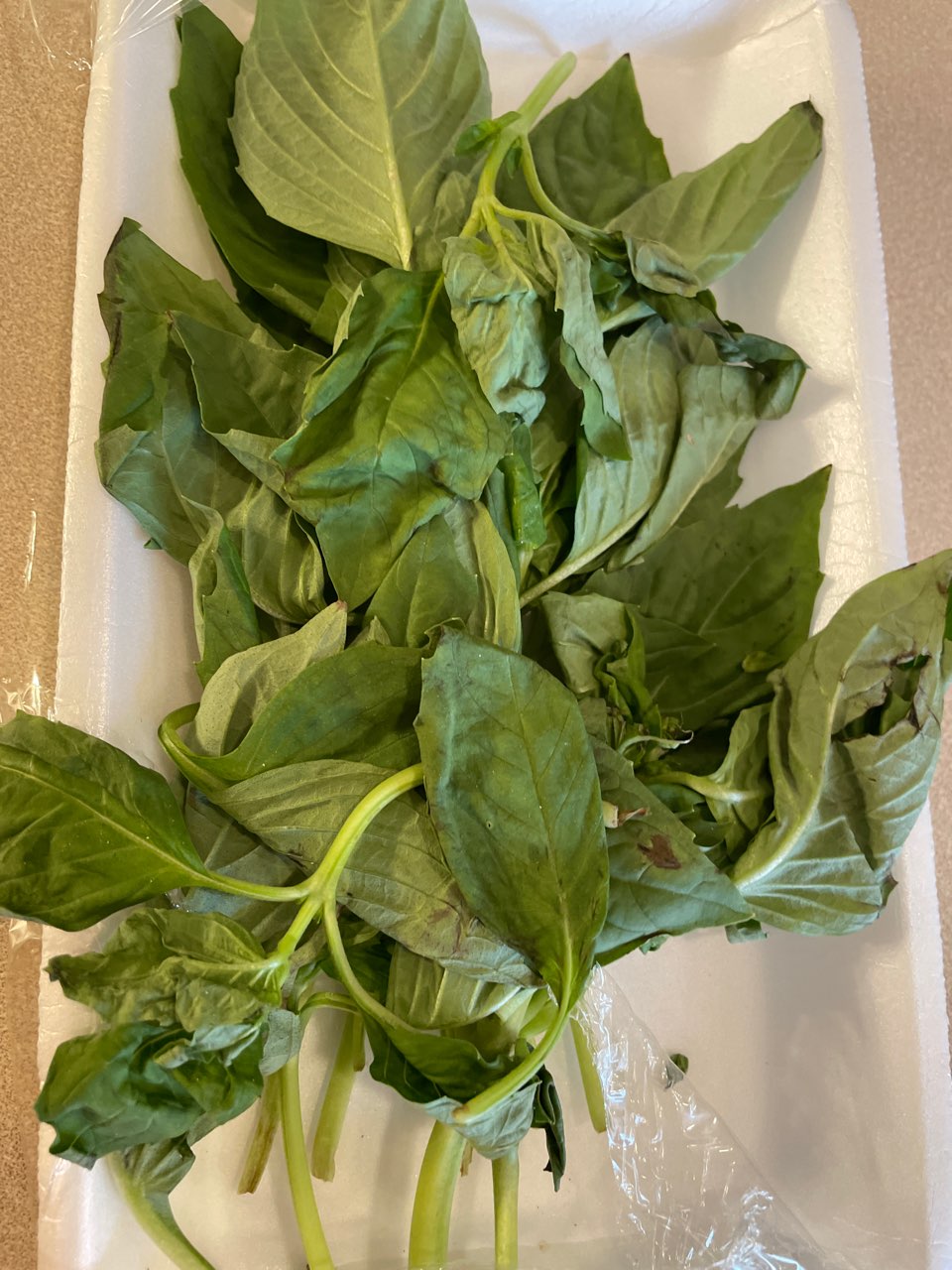 basil Directions, calories, nutrition & more Fooducate