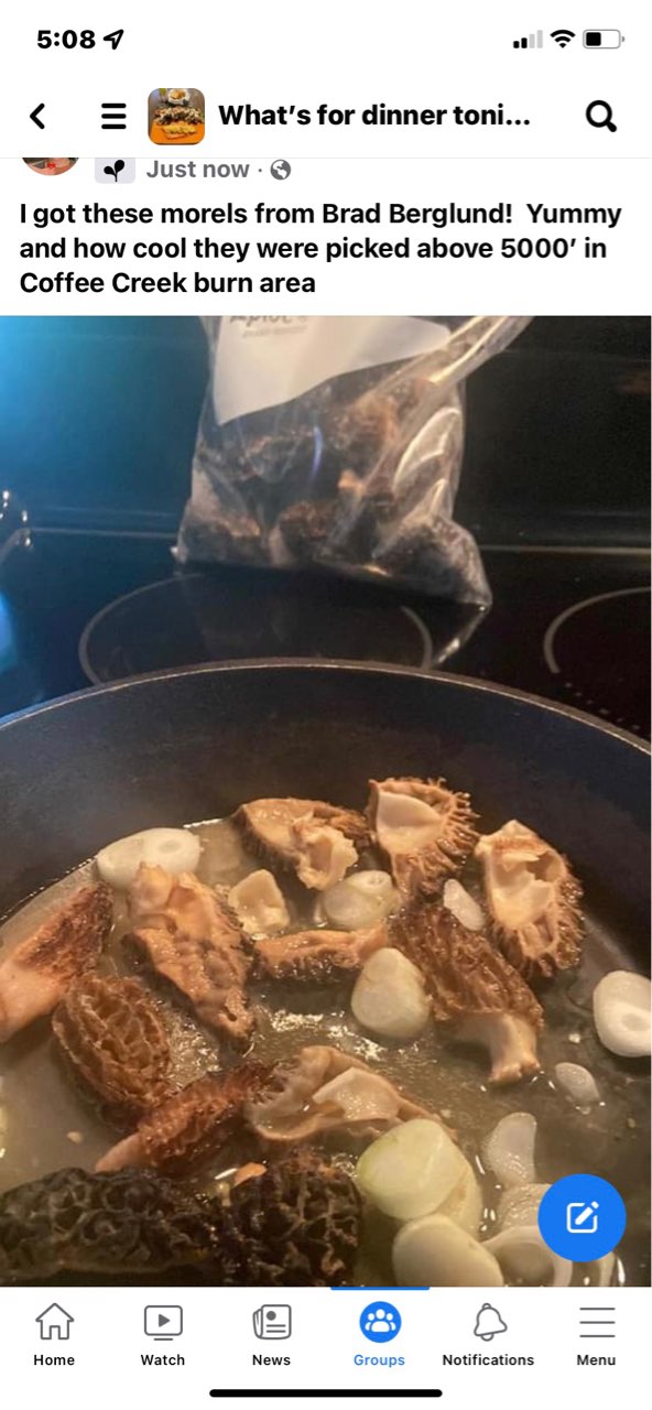 foraged morel mushroom Trinity ca Directions, calories, nutrition