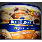 blue bunny turtle sundae ice cream