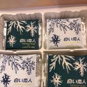 User Added Shiroi Koibito Chocolat Blanc Et Langue De Chat Calories Nutrition Analysis More Fooducate