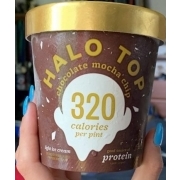 chocolate mocha chip halo top